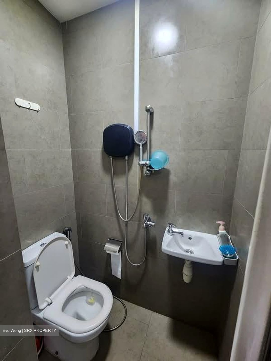 Riversails (D19), Condominium #540009061